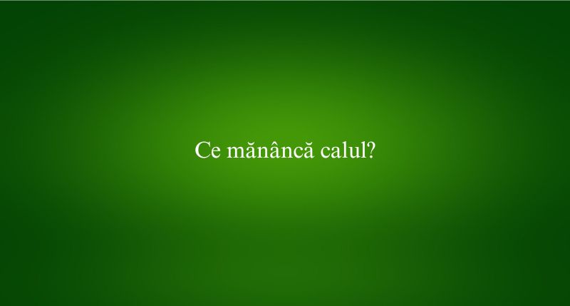 Ce mănâncă calul