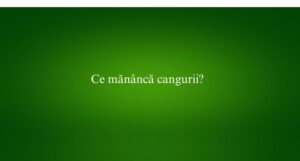 Ce măn&acirc;ncă cangurii