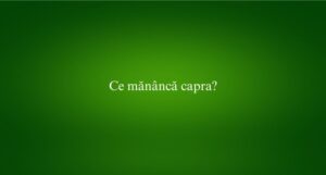 Ce măn&acirc;ncă capra