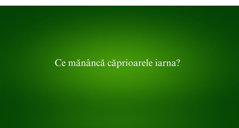 Ce mănâncă căprioarele iarna