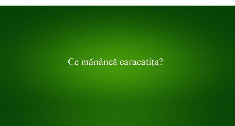 Ce mănâncă caracatița