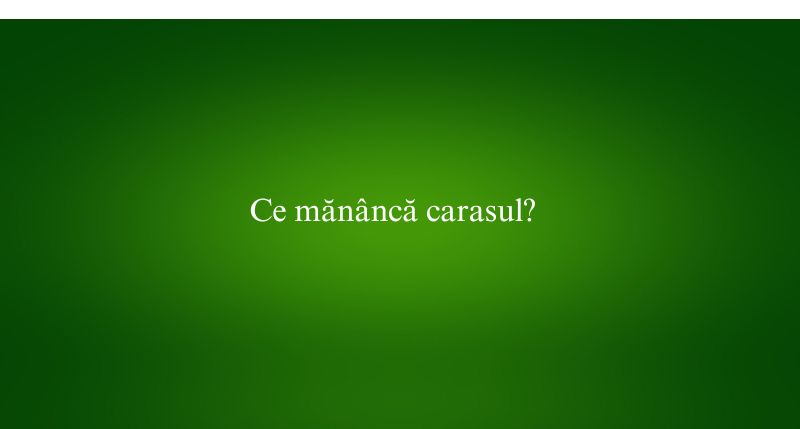Ce mănâncă carasul