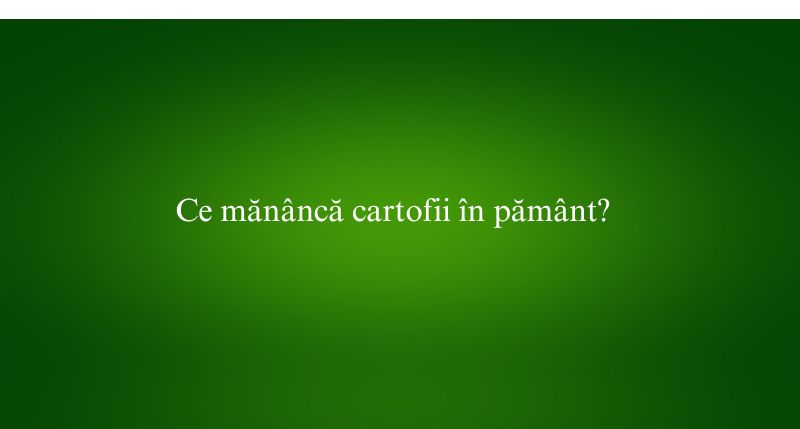Ce mănâncă cartofii în pământ