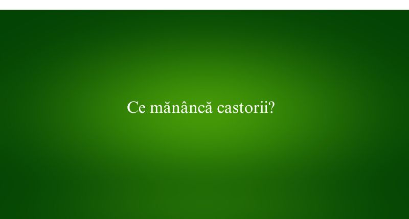 Ce mănâncă castorii