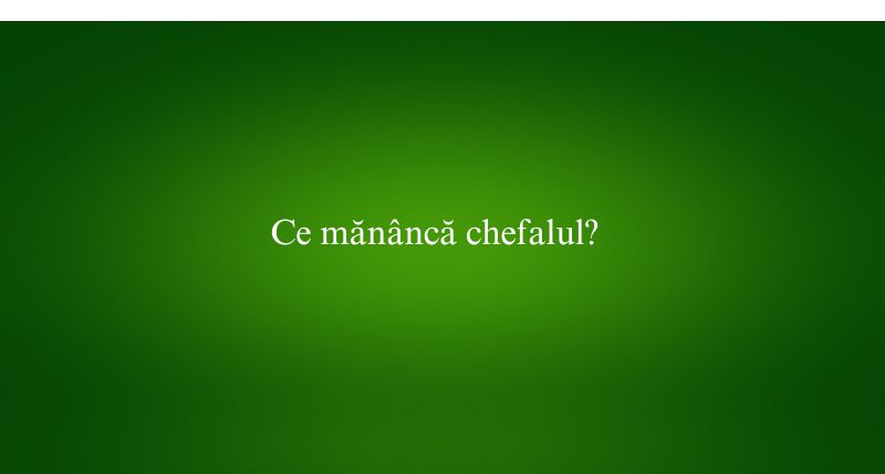 Ce mănâncă chefalul
