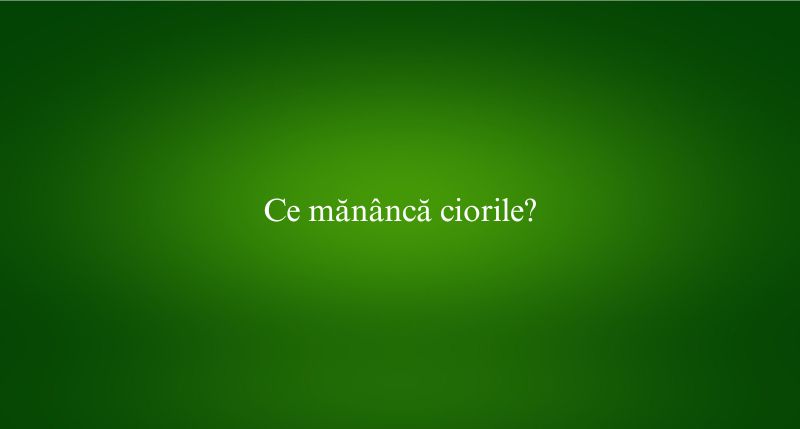 Ce mănâncă ciorile