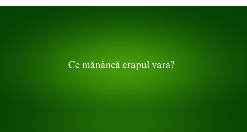 Ce mănâncă crapul vara