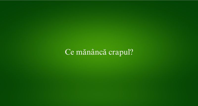 Ce mănâncă crapul