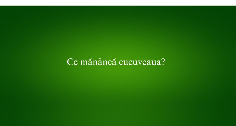 Ce mănâncă cucuveaua