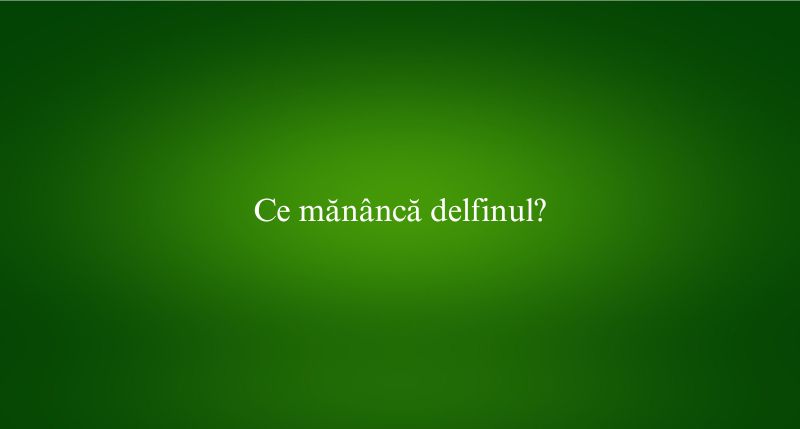 Ce mănâncă delfinul