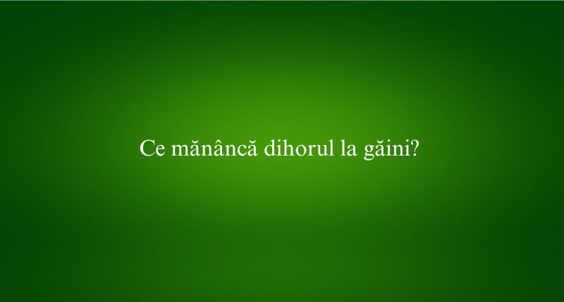 Ce mănâncă dihorul la găini