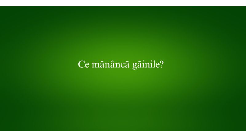 Ce mănâncă găinile