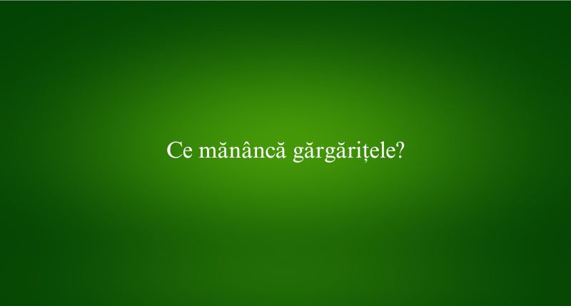 Ce mănâncă gărgărițele