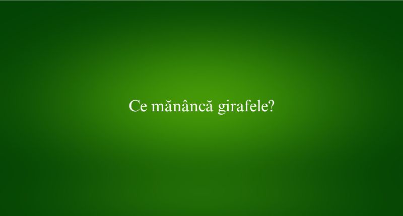 Ce mănâncă girafele