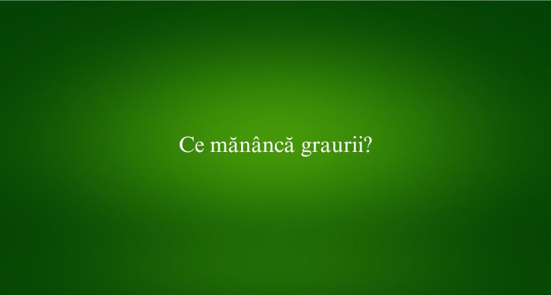 Ce mănâncă graurii