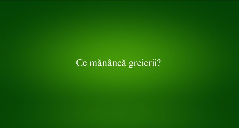 Ce mănâncă greierii