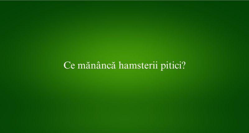 Ce mănâncă hamsterii pitici
