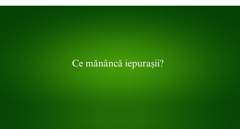 Ce mănâncă iepurașii