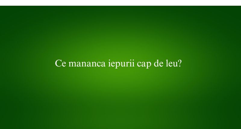 Ce mananca iepurii cap de leu