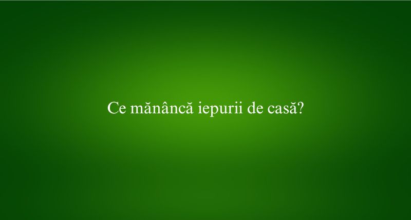 Ce mănâncă iepurii de casă