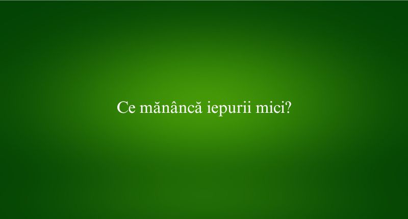 Ce mănâncă iepurii mici