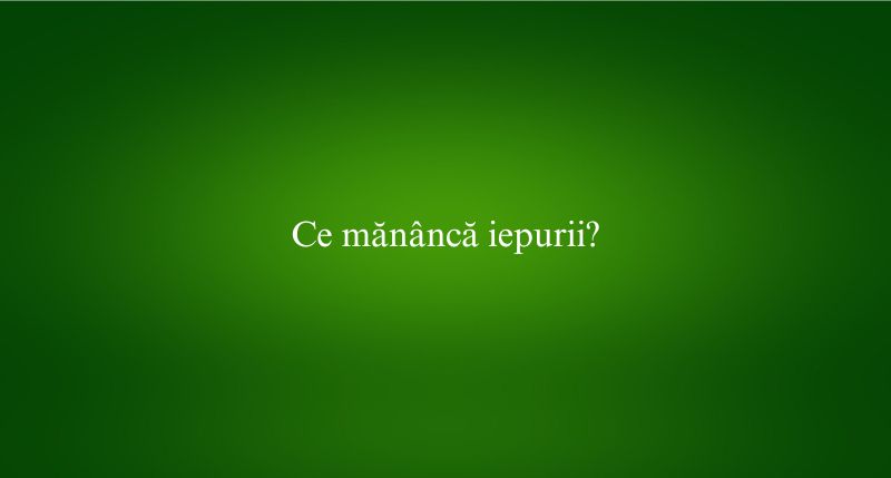 Ce mănâncă iepurii