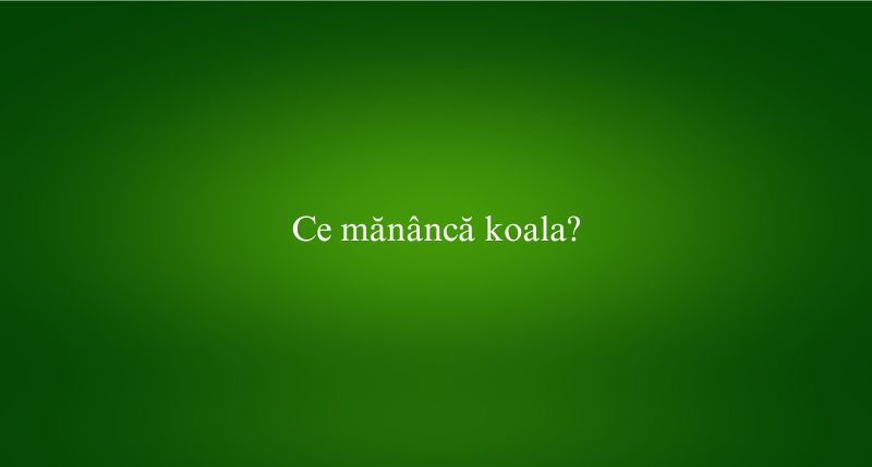 Ce mănâncă koala