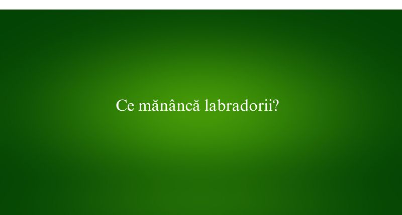 Ce mănâncă labradorii