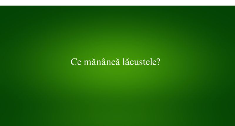 Ce mănâncă lăcustele