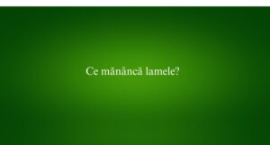 Ce măn&acirc;ncă lamele