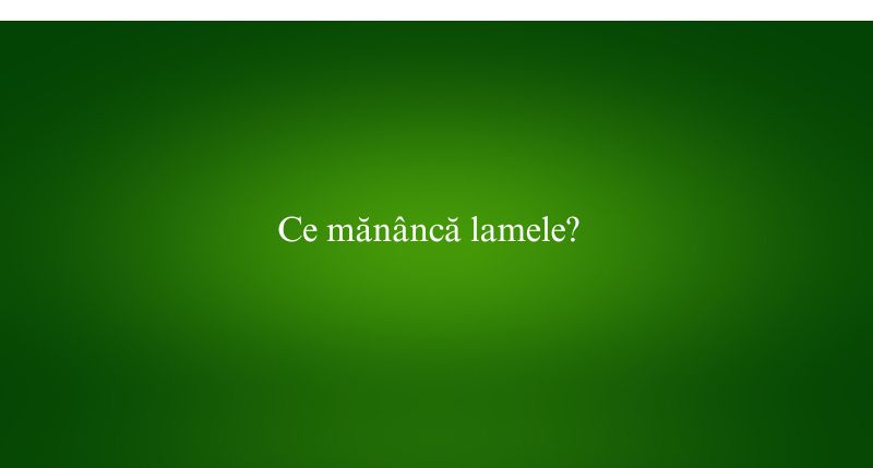 Ce mănâncă lamele
