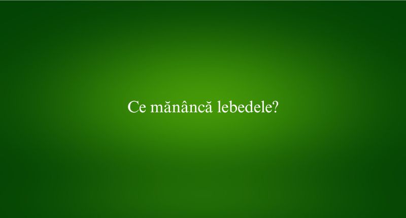 Ce mănâncă lebedele