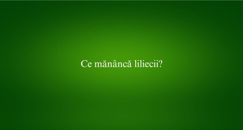 Ce mănâncă liliecii