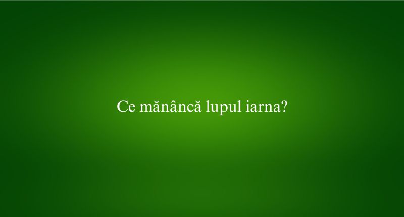 Ce mănâncă lupul iarna
