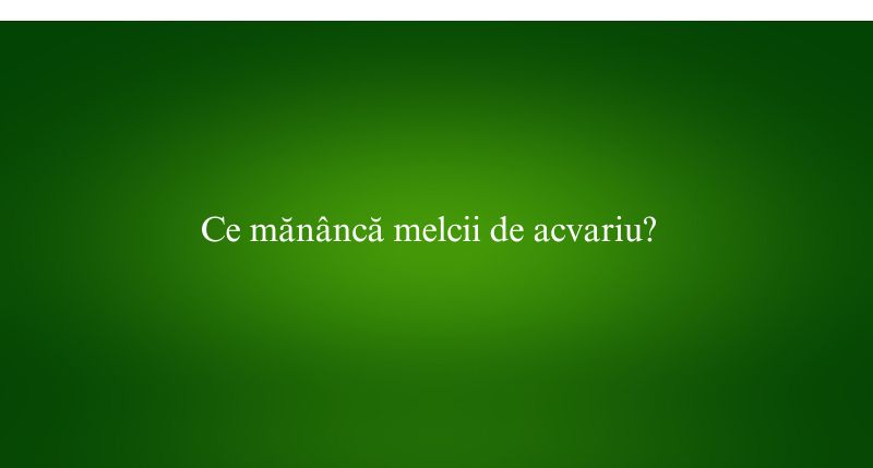 Ce mănâncă melcii de acvariu