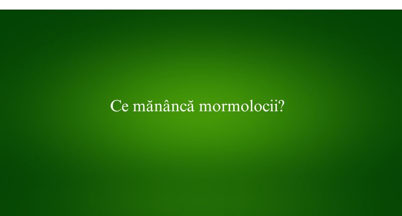 Ce mănâncă mormolocii