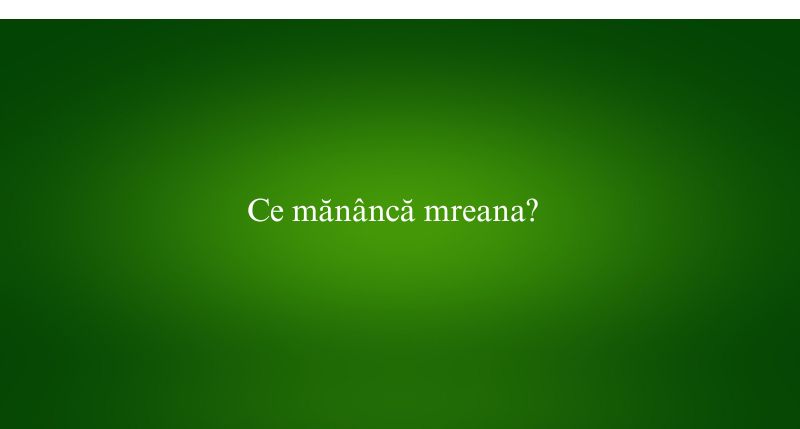 Ce mănâncă mreana
