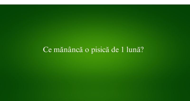 Ce mănâncă o pisică de 1 lună