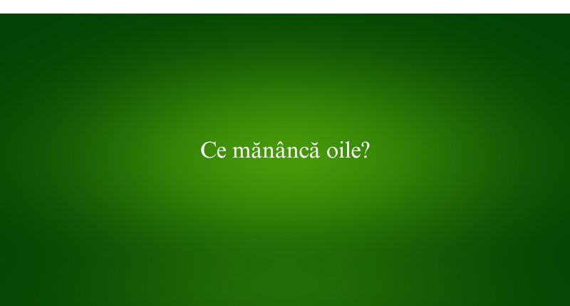 Ce mănâncă oile