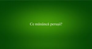 Ce măn&acirc;ncă perușii