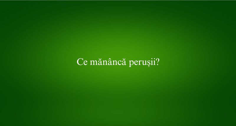 Ce mănâncă perușii