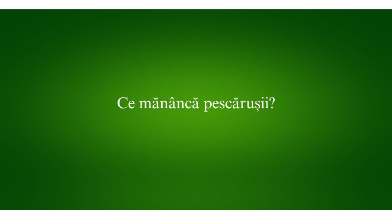 Ce mănâncă pescărușii