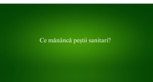 Ce măn&acirc;ncă peștii sanitari