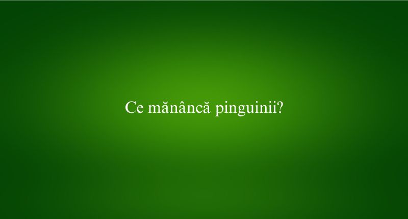 Ce mănâncă pinguinii