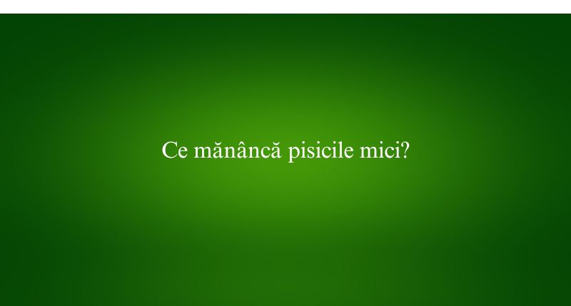 Ce mănâncă pisicile mici