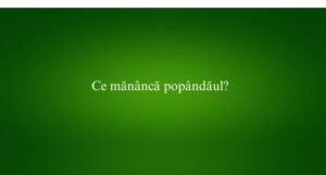 Ce măn&acirc;ncă pop&acirc;ndăul
