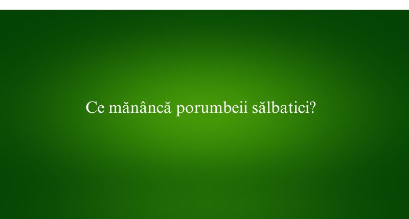 Ce mănâncă porumbeii sălbatici