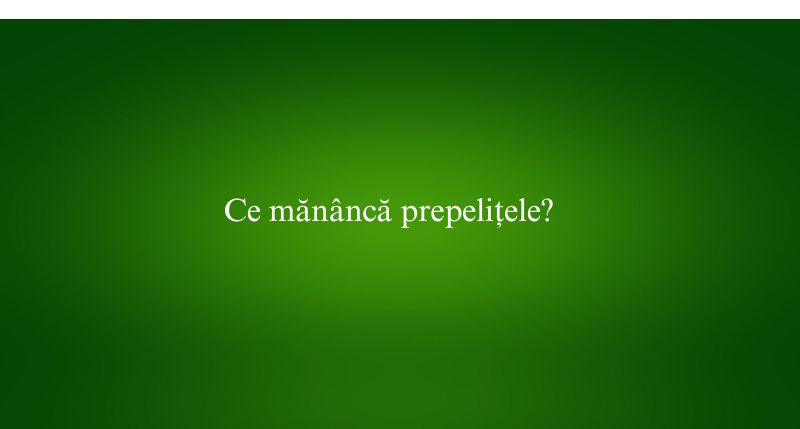 Ce mănâncă prepelițele