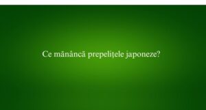 Ce măn&acirc;ncă prepelițele japoneze