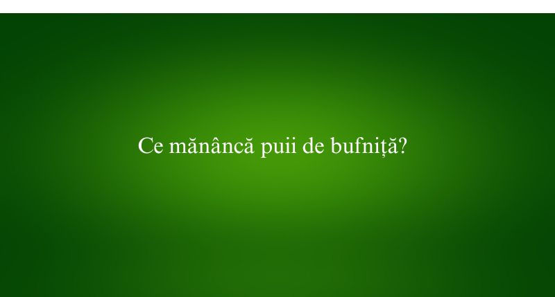 Ce mănâncă puii de bufniță